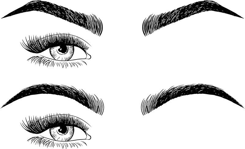 Eyebrows-Shape 1-shutterstock_753641557